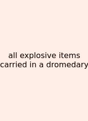 All Explosive Items Carried In A Dromedary