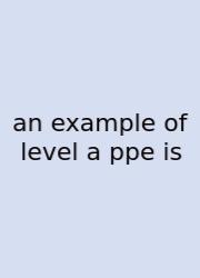 An Example Of Level A Ppe Is