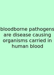 Bloodborne Pathogens Are Disease Causing Organisms Carried In Human Blood