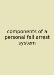 Components Of A Personal Fall Arrest System