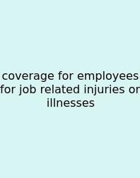 Coverage For Employees For Job Related Injuries Or Illnesses