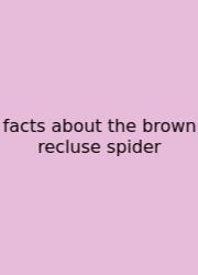Facts About The Brown Recluse Spider