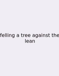Felling A Tree Against The Lean