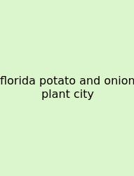 Florida Potato And Onion Plant City