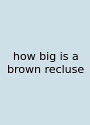 How Big Is A Brown Recluse