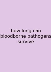 How Long Can Bloodborne Pathogens Survive