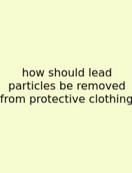 How Should Lead Particles Be Removed From Protective Clothing