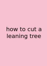 How To Cut A Leaning Tree