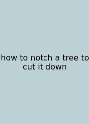 How To Notch A Tree To Cut It Down