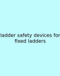 Ladder Safety Devices For Fixed Ladders