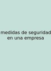 Medidas De Seguridad En Una Empresa