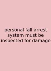 Personal Fall Arrest System Must Be Inspected For Damage