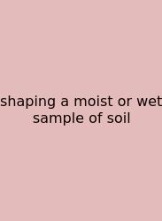 Shaping A Moist Or Wet Sample Of Soil