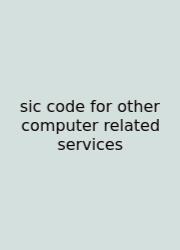 Sic Code For Other Computer Related Services