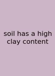 Soil Has A High Clay Content