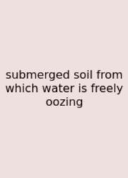Submerged Soil From Which Water Is Freely Oozing