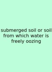 Submerged Soil Or Soil From Which Water Is Freely Oozing