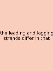 The Leading And Lagging Strands Differ In That