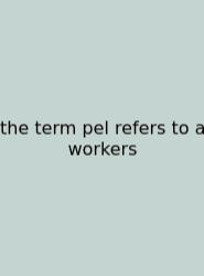 The Term Pel Refers To A Workers