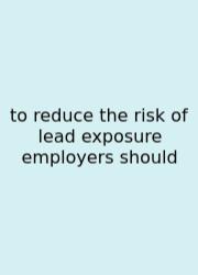 To Reduce The Risk Of Lead Exposure Employers Should