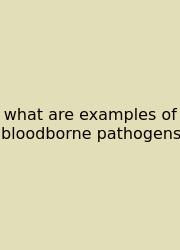 What Are Examples Of Bloodborne Pathogens