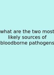 What Are The Two Most Likely Sources Of Bloodborne Pathogens