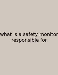 What Is A Safety Monitor Responsible For