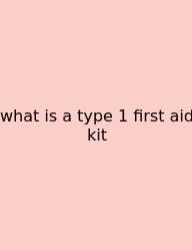 What Is A Type 1 First Aid Kit