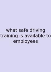 What Safe Driving Training Is Available To Employees