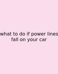 What To Do If Power Lines Fall On Your Car