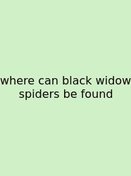 Where Can Black Widow Spiders Be Found