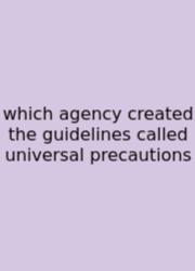 Which Agency Created The Guidelines Called Universal Precautions