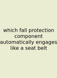 Which Fall Protection Component Automatically Engages Like A Seat Belt