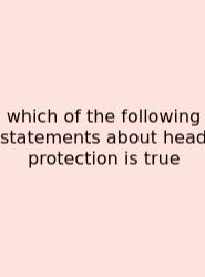 Which Of The Following Statements About Head Protection Is True