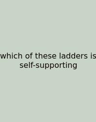 Which Of These Ladders Is Self-supporting